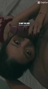 种子帝